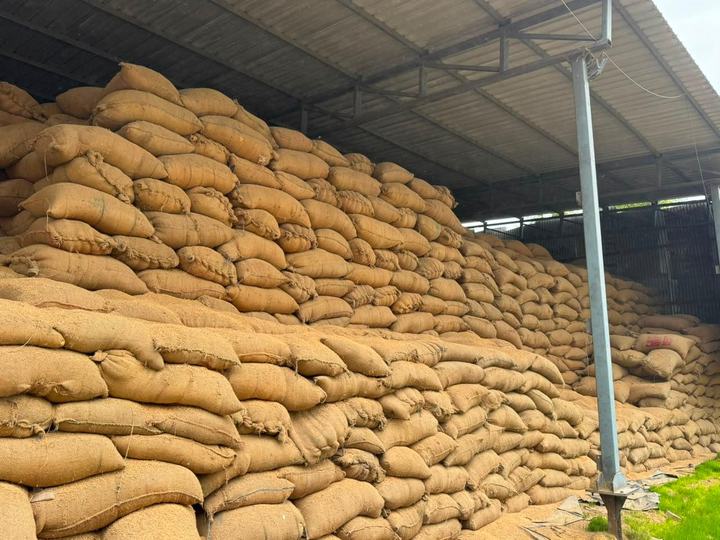 Shree RadhaGovind rice mill plant view 5